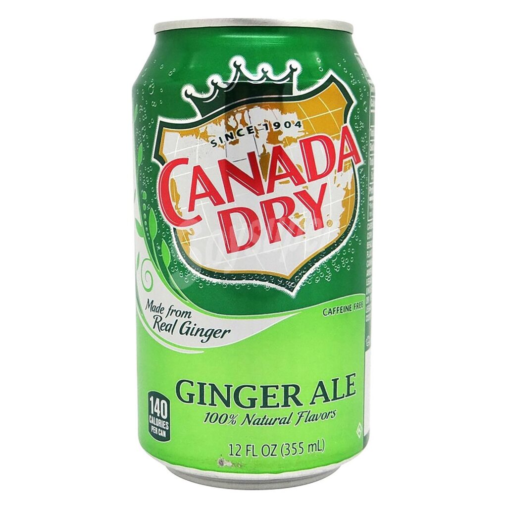 Canada Dry Ginger Ale at Pani Puri Paradise Mississauga